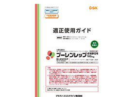 ブーレンレップ適正使用ガイド
