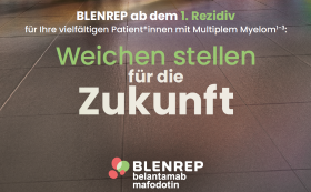 BLENREP Launch Broschüre